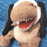 ぽんた