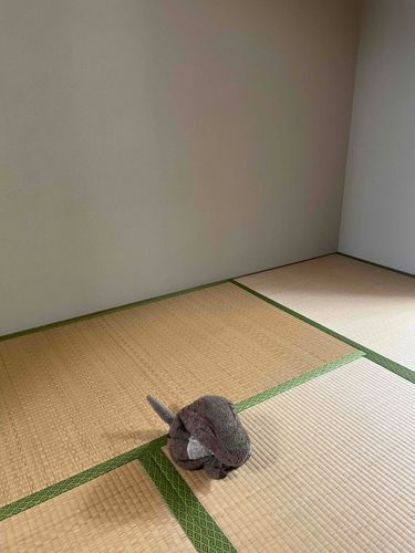 たたみに、ひとりぼっち