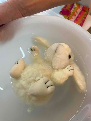 うさぎ
〜じゅうなんざいのかおりにつつまれて〜