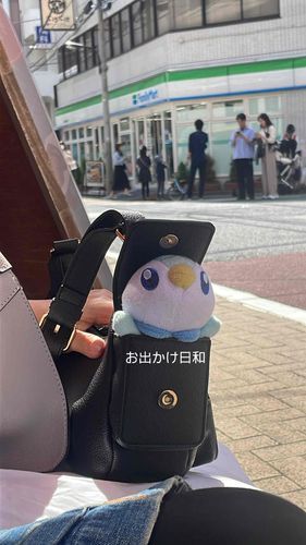 お天気良かったからかいぬしのかばんから顔だしてお散歩したよ