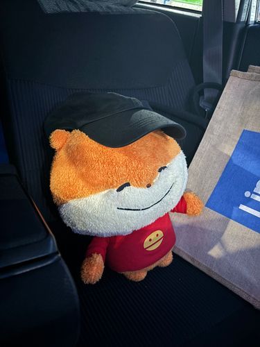 いっしょにお迎えレッツゴー‼️