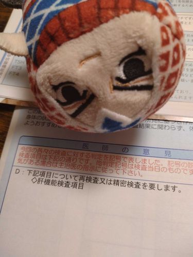 パッショーネの福利厚生、健康診断の結果が届いたぜ！
気になる肝臓の結果は……
「D‼️要精密検査‼️」

………………