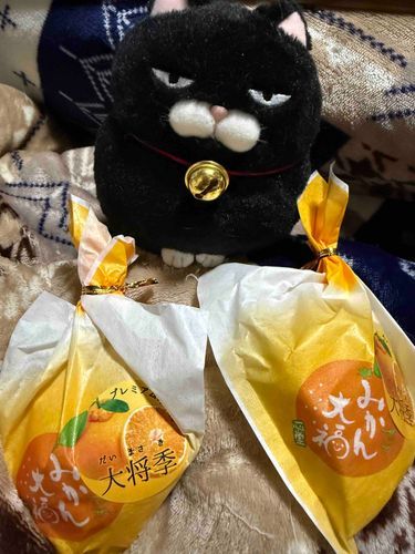 今日のおやつにゃ🍊美味しいお店の大福なんだわ