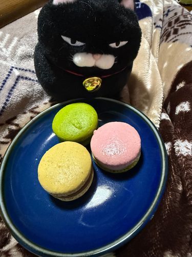 マカロンもらったんだわ〜