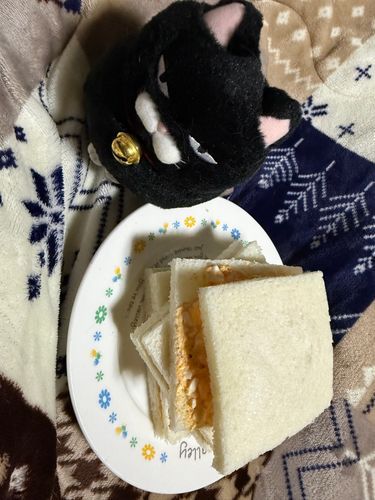 サンドイッチ作ったんだわ