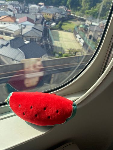 ･-･)＜ﾚﾂｺﾞｯ