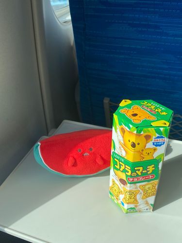 ･-･)＜ﾏｰﾁ