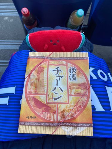 ･-･)＜ﾊﾏﾁｬｰ