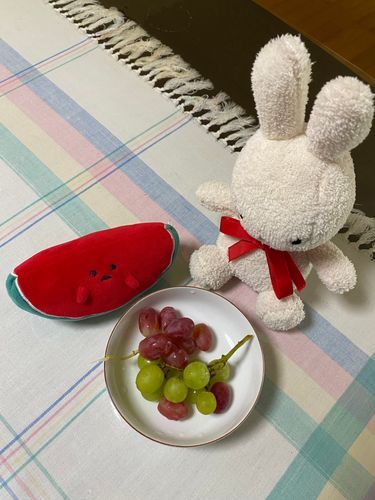 ･-･)＜ﾌﾞﾄﾞｩｰ