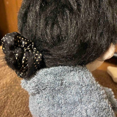 じつは わたしは かみが ながいのだが
あるじのいこうで ふだんは しばっている