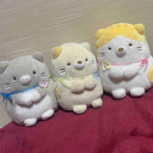 3匹とも仲良くうちで暮らしてます🍀*゜