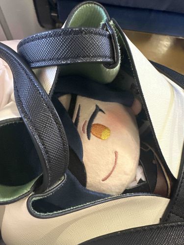 みてるよ
