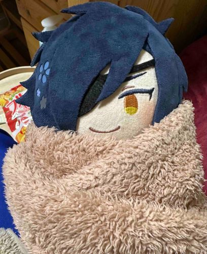 おやすみの日の主の真似だよ