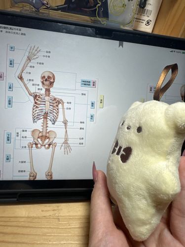 「これ全部覚えるの……😭｣
「気合いだよくまちゃん」