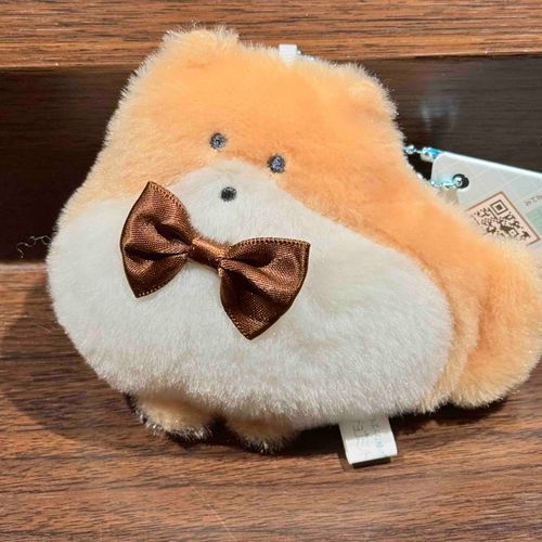 さっき　にんげん　に　捕まったばかり