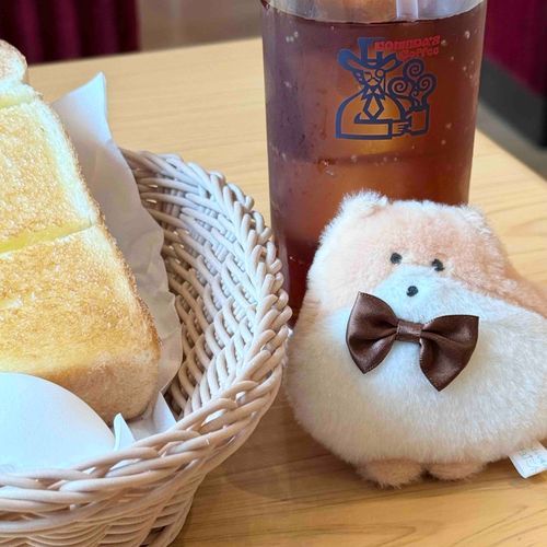 ぽめらにあん（おれんじ）　ぽめまるぽんた　って名前をもらったよ
