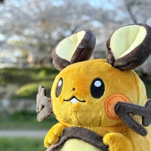 にんげん　いそがしいらしい
でんでこ　も　お花見からお出かけしてない
