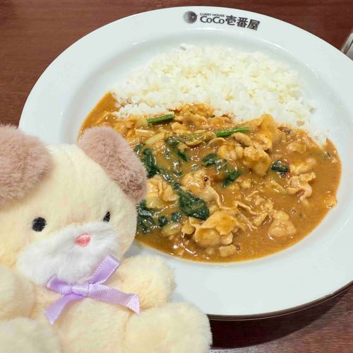 最近　うちに来た　もふ吉
実は双子の　ふわ吉　が　いるらしい