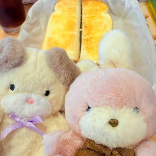 もふ吉　と　みみか　とモーニングだよ