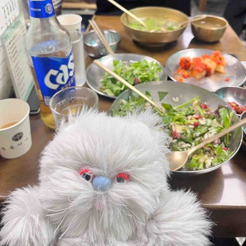 韓国のセリ料理めっちゃうまい！昼から飲んじゃう🍻