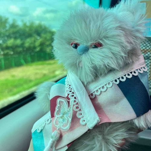 チマチョゴリお気に入り♪旅の帰り〜