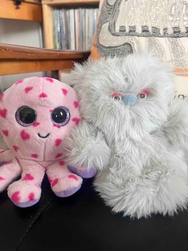 最近仲良いタコ先輩🐙