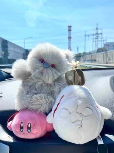 今日は新入りのTAROも一緒にお出かけ〜天気良くて嬉しい🌞