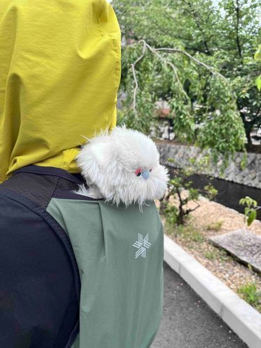 京都の夏暑すぎる💦
久しぶりの故郷だったけど夏バテしちゃったな〜疏水沿いをお散歩して少しは涼めた🎐