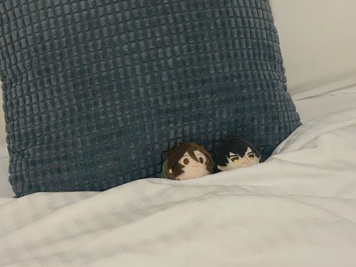 ホテルのまくらってなんでこんなに数がおおいんだ？いっこでじゅうぶんだろ。