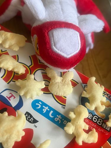 ピカチュウおっとっとはっけん
