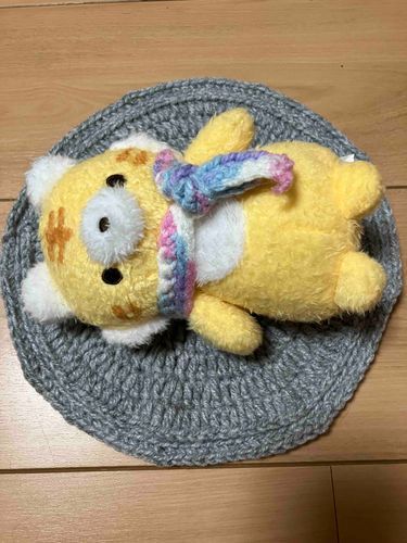 ひろびろ まっと できたー！(とらさん)