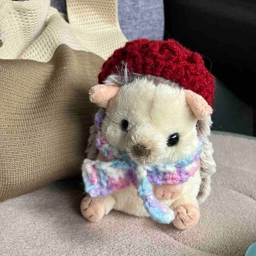 くるま のせて もらたよ！
これから おかいもの おおやさん おにいちゃん おねえちゃん の ぶんぐ かうんだって！あした がっこ だからね(ハリネズミさん)