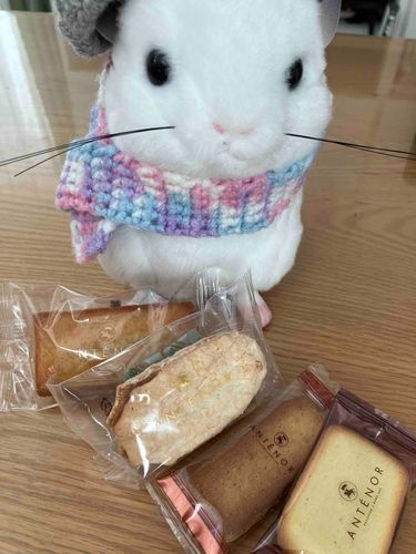 どの くっきー すき？(チンチラさん)