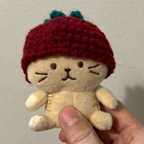 ちょっと期間が空いてしまいましたが、みんな元気にしています！トマト帽子編んだりしていました☺(大家さん)