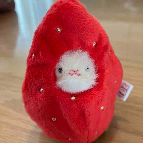 そろそろ でばん ふえるかな？(いちごねずみ)