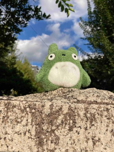 みとろちゃん💚
石の上にも三年