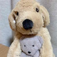 ちゃことイヌ