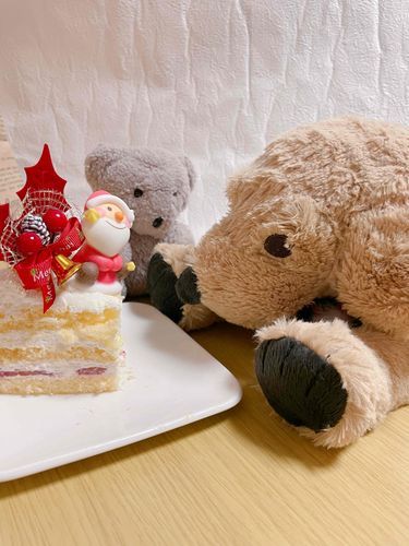犬君ちょっと近すぎるよ
そんな事言われても
おいらはケーキのそばにいたいのです