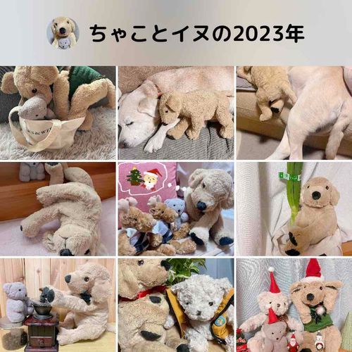 今年はたくさんのフワモコさんに出会えて幸せな一年でした　フワモコの皆さん、おおきにでした🧸🐶