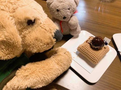 わぁーい座布団モンブラン
チャコねーさん座ったらあかんよ！　