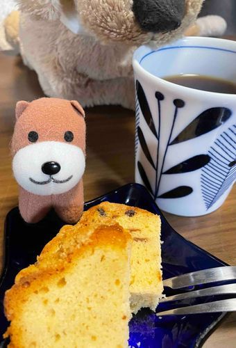 おやつタイム。黒い丸いものは、おやつではありません。おいらの鼻です。🐶

