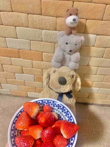 いちご🍓とおいらたち
