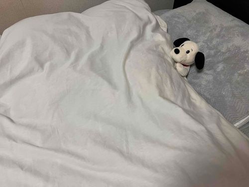 おふとん温め奉行