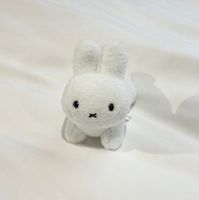 はじめましてうさちゃん