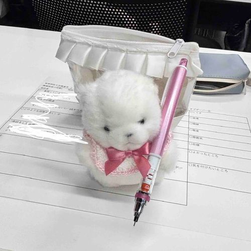 かしこくかわいく生きるのだ！