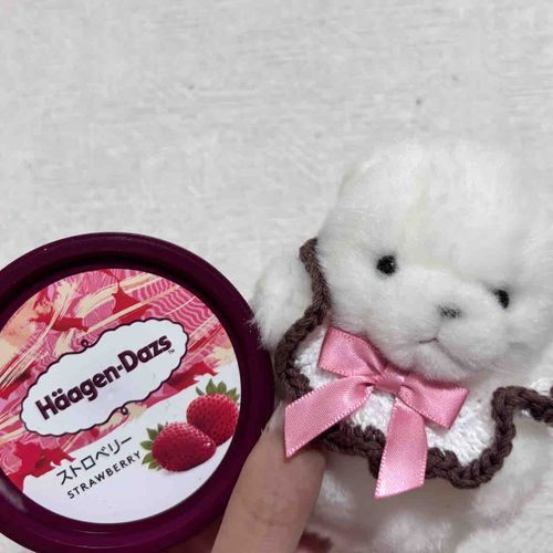 ご褒美ハーゲンタッツ、もったいなくて2日に分けて食べた🍓