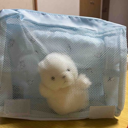 占拠