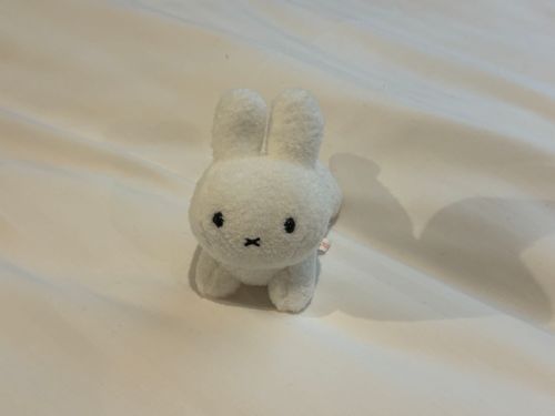 はじめましてうさちゃん