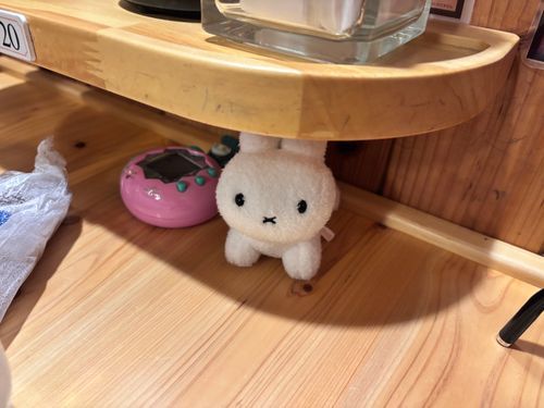 うさぎの身はうさぎで！