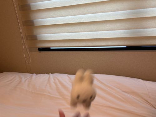 じゅうりょくｯ